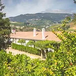 Quinta Do Valdalagea 컨트리하우스 페소다레과