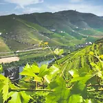 Country house Quinta Do Valdalagea *
