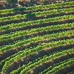 Quinta Do Valdalagea 페소다레과