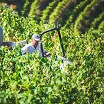 Quinta Do Valdalagea Εξοχικό σπίτι