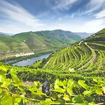 컨트리하우스 Quinta Do Valdalagea *