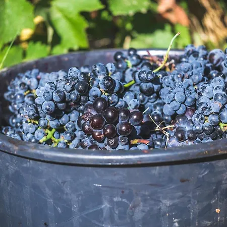 Quinta Do Valdalagea *
