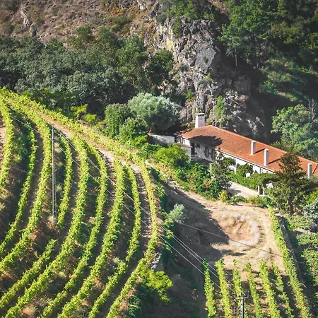 Quinta Do Valdalagea Country house *