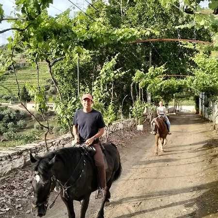 Quinta Do Valdalágea Casa de Campo Peso da Régua