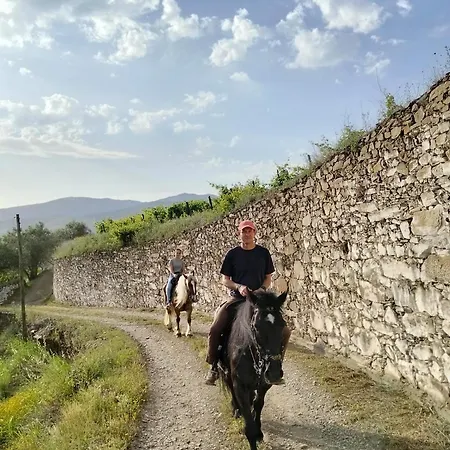Quinta Do Valdalagea *