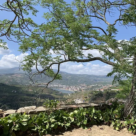 Séjour à la campagne Quinta Do Valdalagea