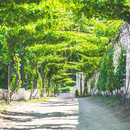 Quinta Do Valdalágea *