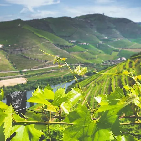 Летний дом Quinta Do Valdalagea *