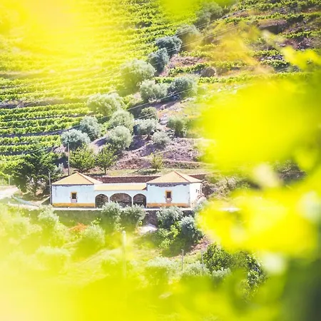 Quinta Do Valdalagea