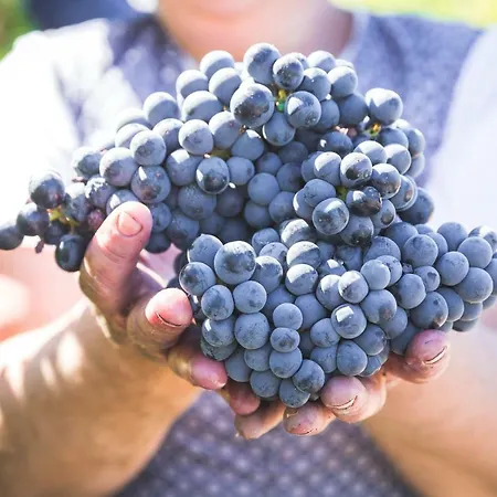 Séjour à la campagne Quinta Do Valdalagea *