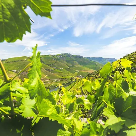 Quinta Do Valdalagea * ペーゾ・ダ・レーグア