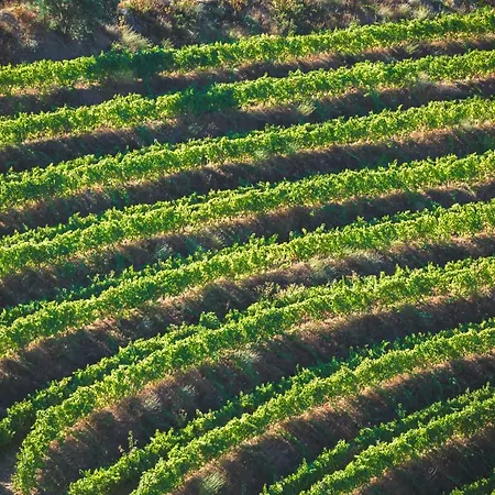 Quinta Do Valdalagea Пезу-да-Регуа