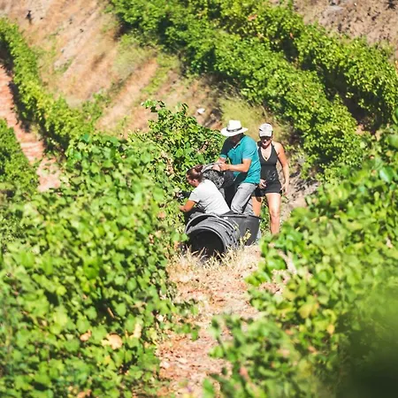 Séjour à la campagne Quinta Do Valdalagea *
