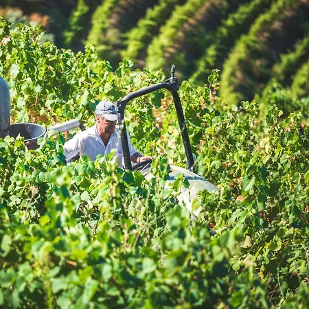 Quinta Do Valdalagea Séjour à la campagne