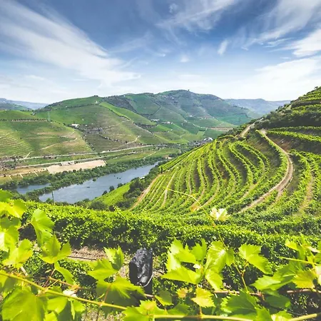 Летний дом Quinta Do Valdalagea *