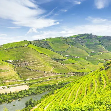 Quinta Do Valdalagea Country house