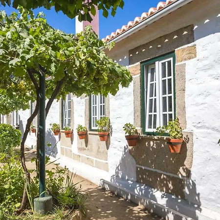 Quinta Do Valdalagea Εξοχικό σπίτι