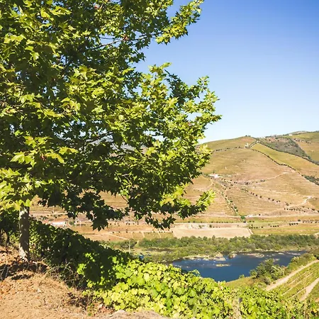 Quinta Do Valdalagea