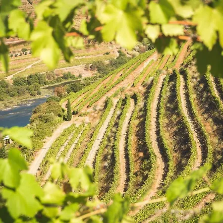 Quinta Do Valdalagea Летний дом Пезу-да-Регуа