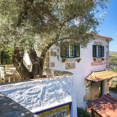 Εξοχικό σπίτι Quinta Do Valdalagea Peso da Régua