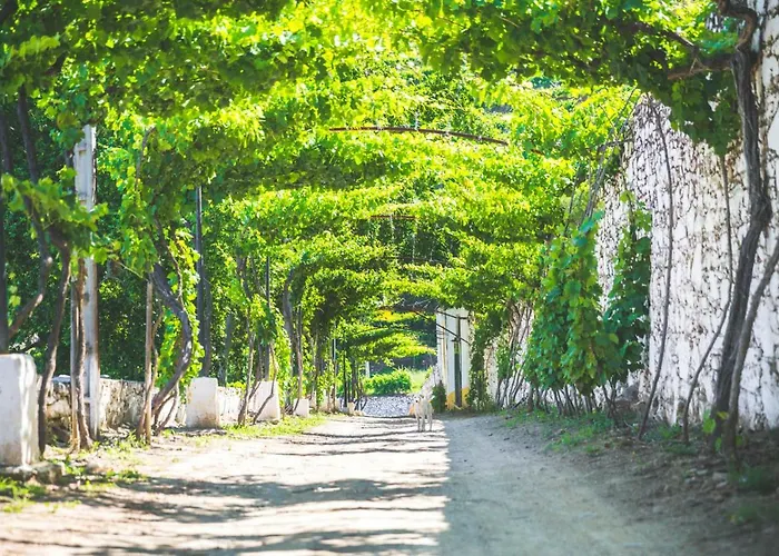 Quinta Do Valdalágea *