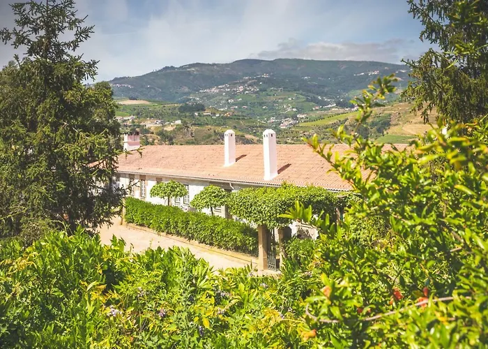 Quinta Do Valdalagea Εξοχικό σπίτι Peso da Régua