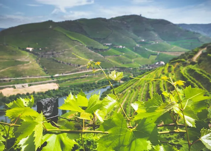 Εξοχικό σπίτι Quinta Do Valdalagea *