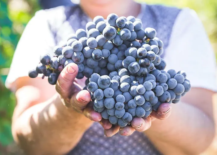 Εξοχικό σπίτι Quinta Do Valdalagea *