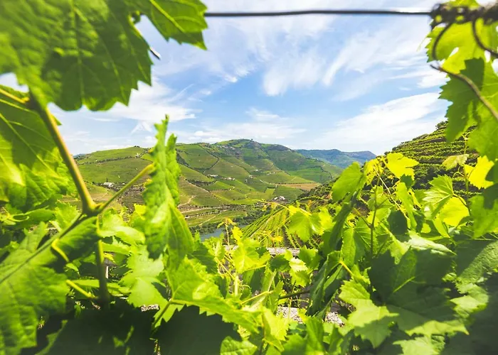 Quinta Do Valdalagea * Peso da Régua