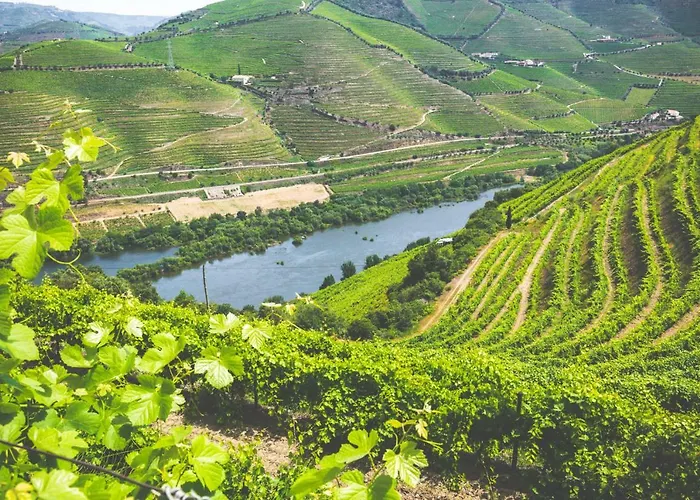 Quinta Do Valdalagea