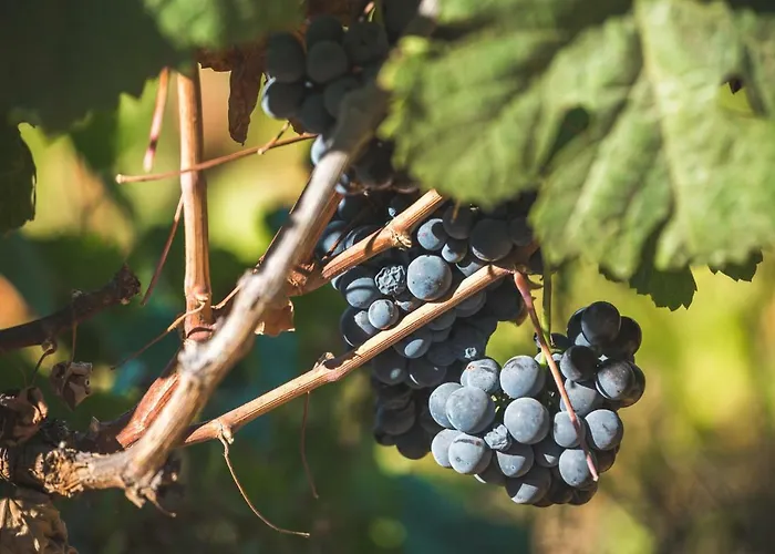 Quinta Do Valdalagea *