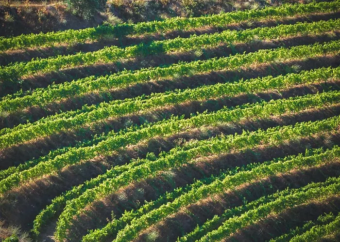 Quinta Do Valdalagea 페소다레과