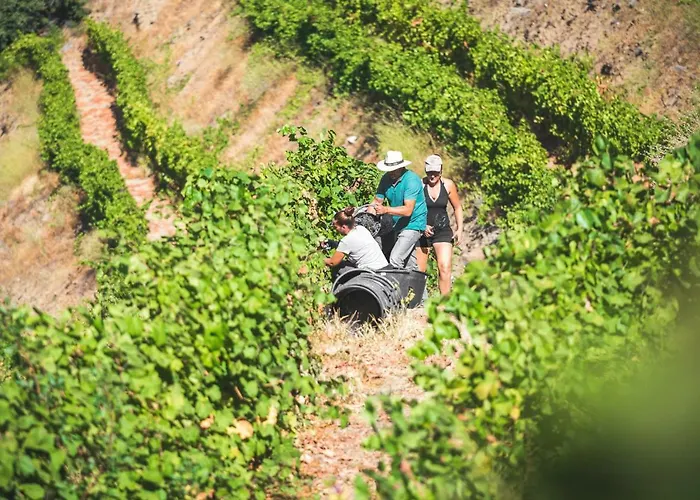 Εξοχικό σπίτι Quinta Do Valdalagea *