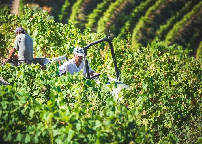 Quinta Do Valdalagea Landhaus