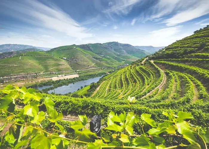 Εξοχικό σπίτι Quinta Do Valdalagea *