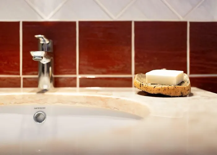 Quinta Do Valdalagea カントリーハウス