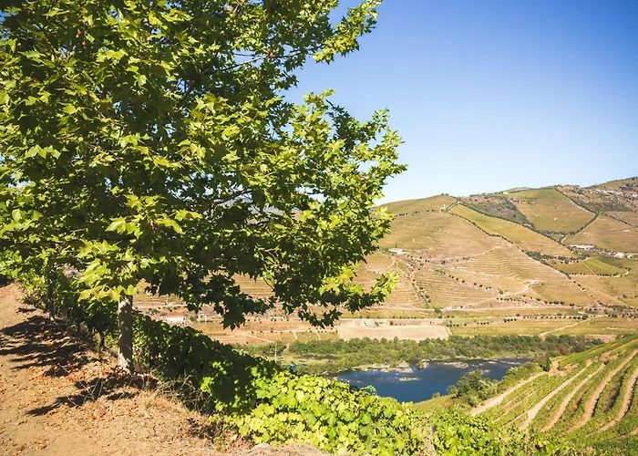 Quinta Do Valdalagea