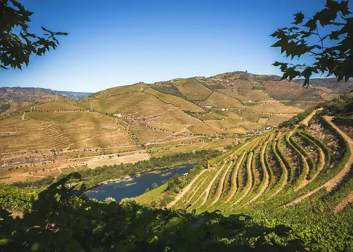 Quinta Do Valdalagea