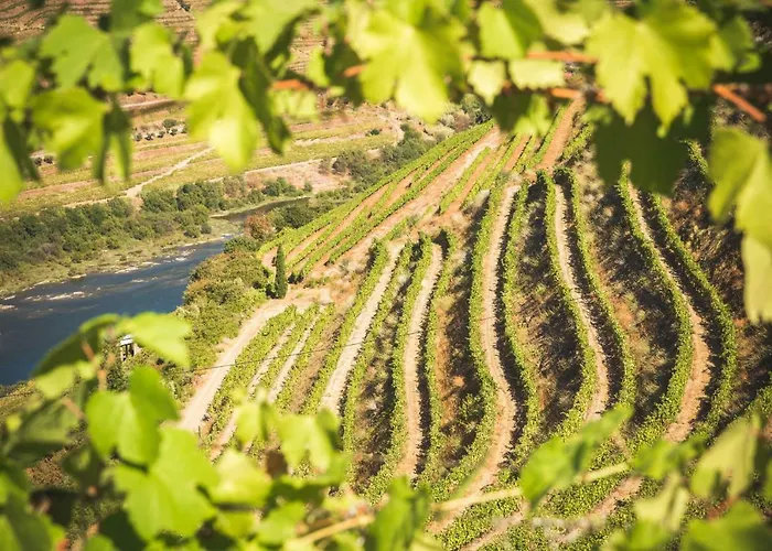 Quinta Do Valdalágea Casa rural Peso da Régua