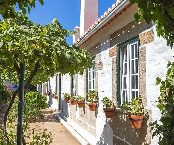 Quinta Do Valdalagea 컨트리하우스 페소다레과